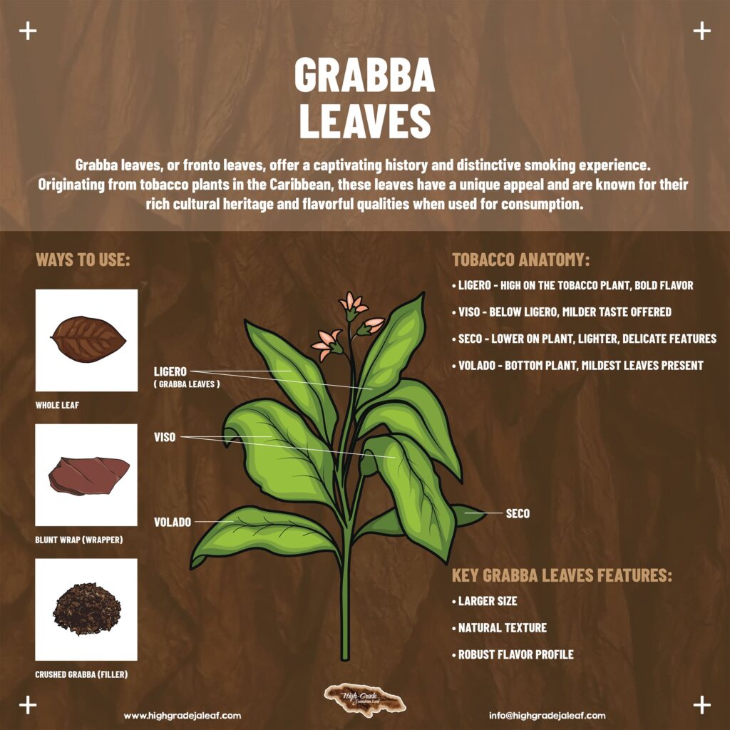 Grabba Leaves Infographic