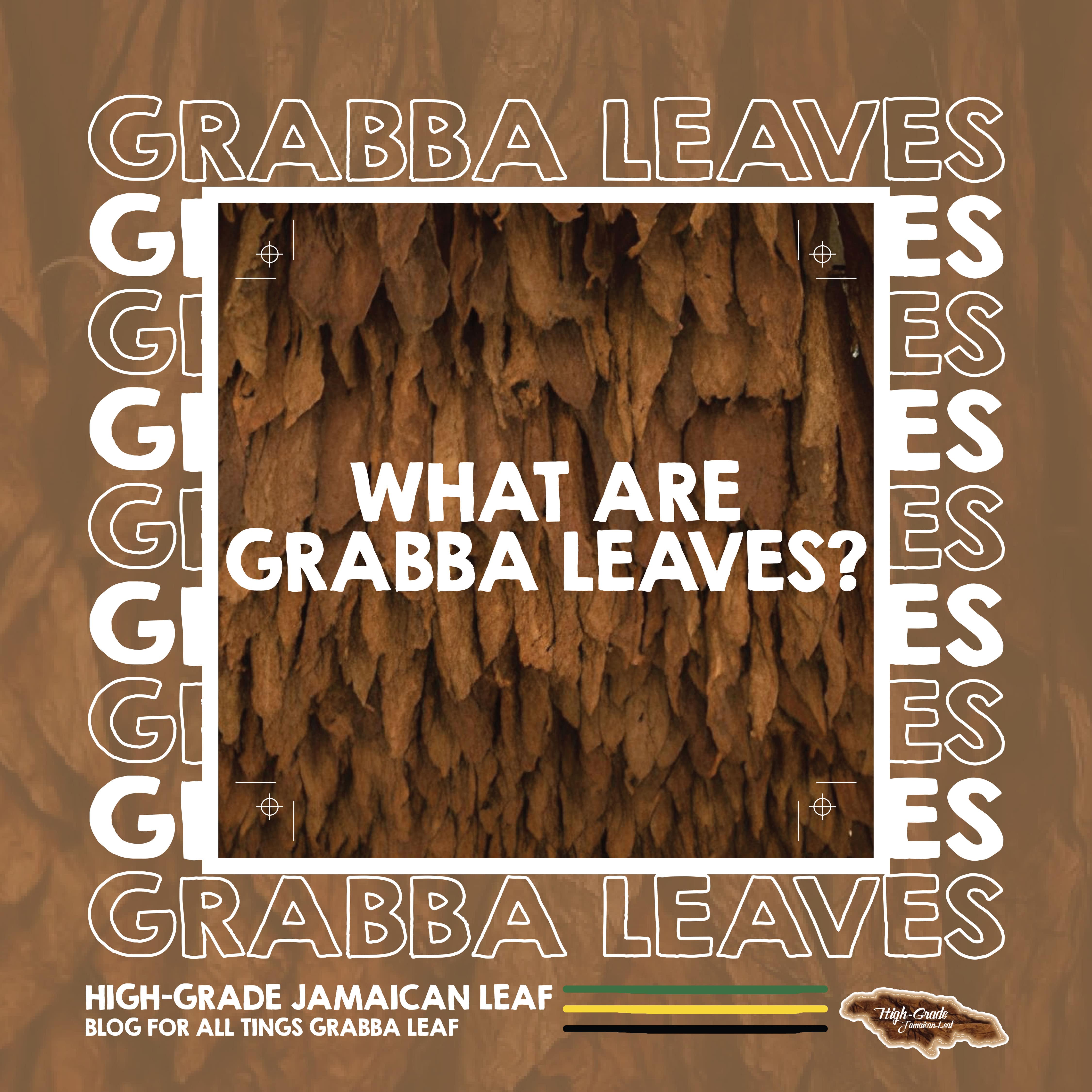 Grabba Leaves