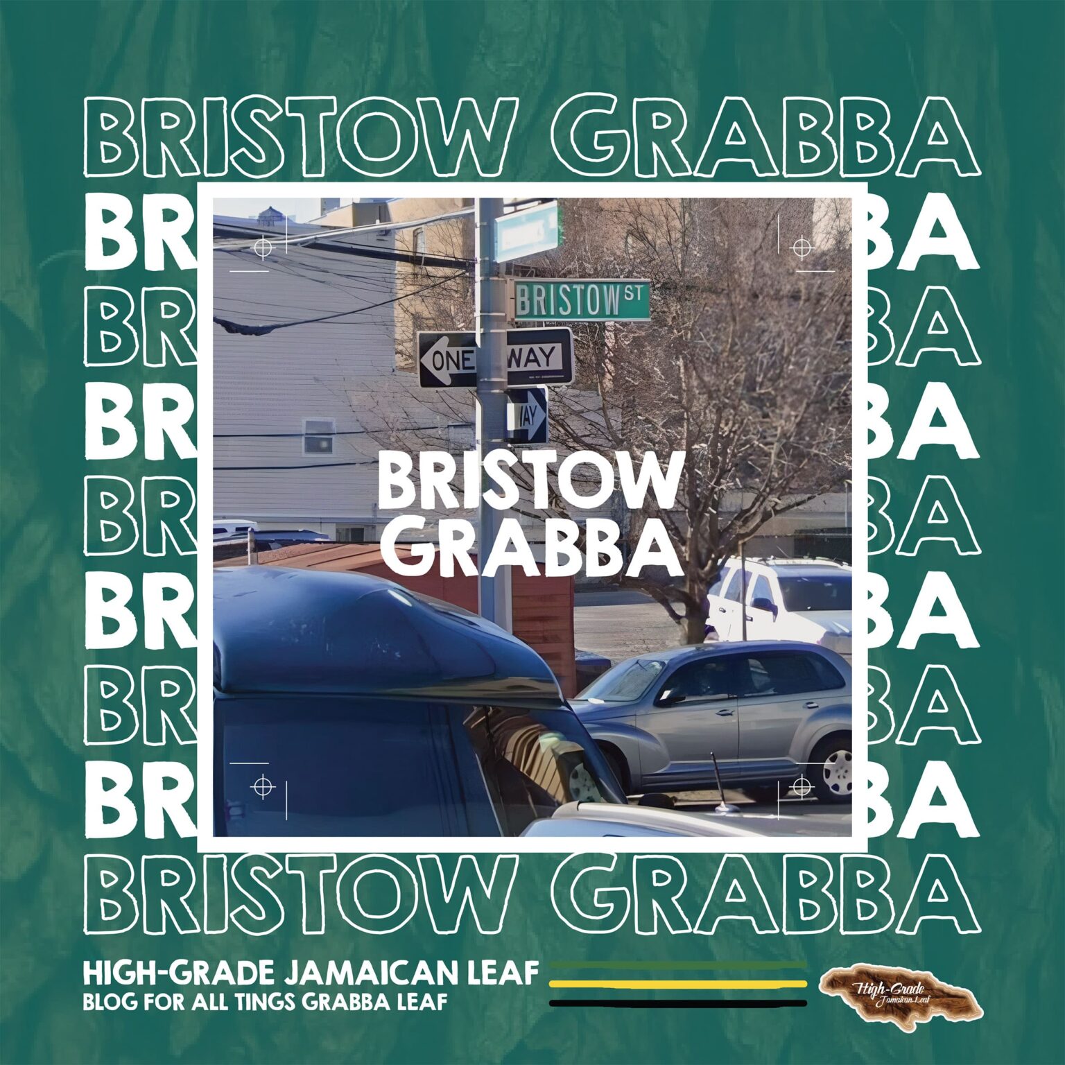 Bristow Grabba Also Known As Bristol Grabba Grabba Leaf Plug 